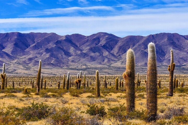 From Salta: Pack of 4 Excursions in Salta and Jujuy