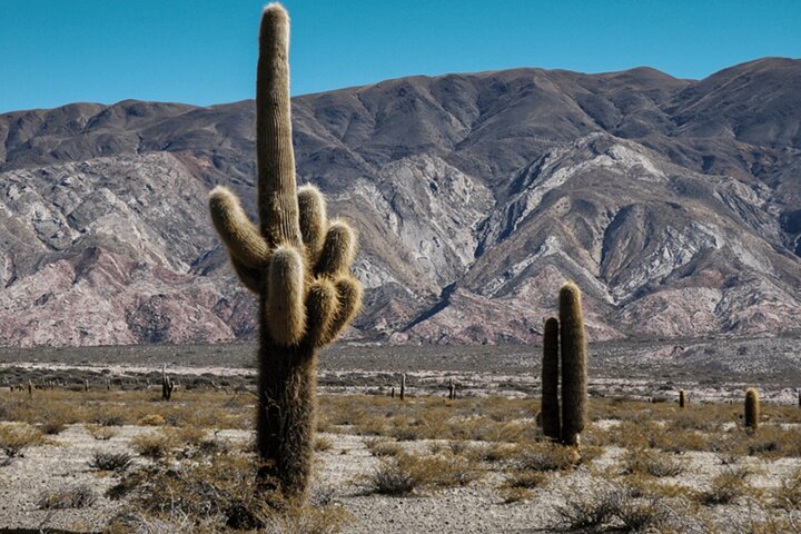From Salta: Pack of 4 Excursions in Salta and Jujuy