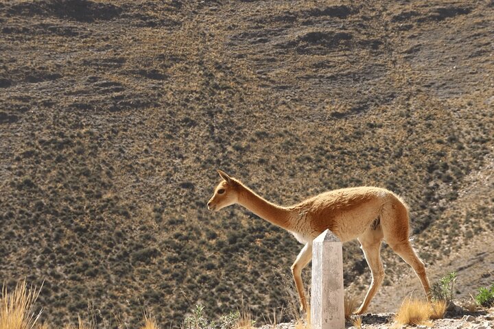 From Salta: Pack of 4 Excursions in Salta and Jujuy
