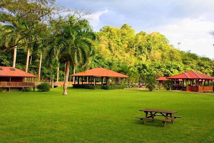 Zipline, YS Falls & Pelican Bar Private Tour From Montego Bay