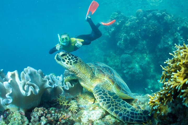 Whitsunday Islands Sail, SUP & Snorkel Tour-Small group