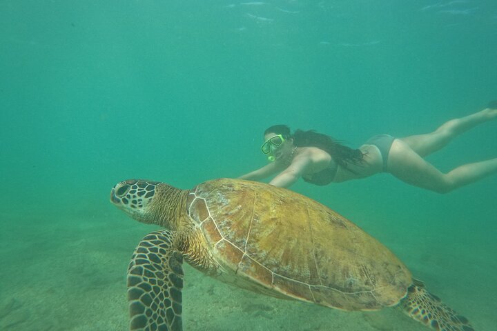 Snorkeling with Turtles in Mirissa
