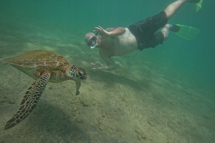 Snorkeling with Turtles in Mirissa
