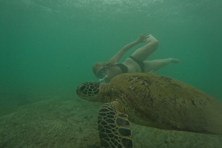 Snorkeling with Turtles in Mirissa