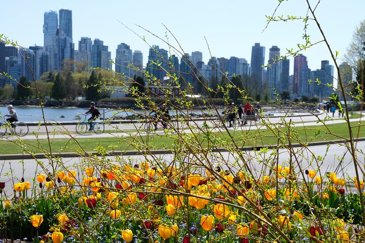 Vancouver Hop On Hop Off Trolley Tour w/ 20 Stops & Live Guide