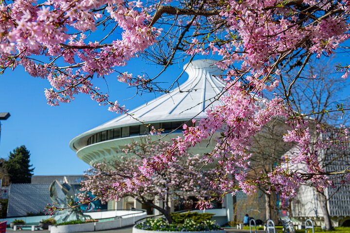 Vancouver Hop On Hop Off Trolley Tour w/ 20 Stops & Live Guide
