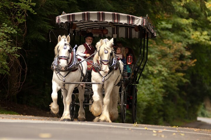 Vancouver Hop On Hop Off Trolley Tour w/ 20 Stops & Live Guide