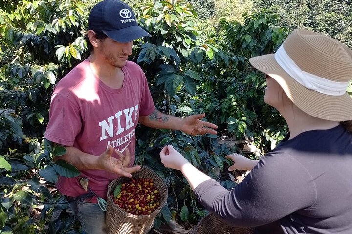 Coffee Tour and Jeep Tour at Finca Mariposa in Jardin