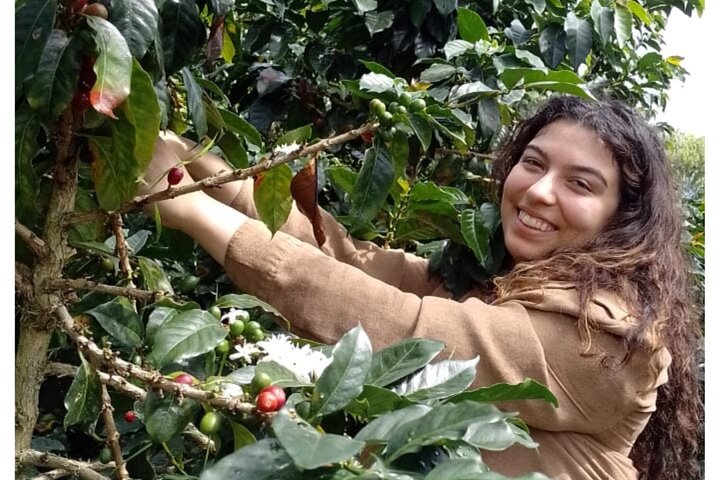 Coffee Tour and Jeep Tour at Finca Mariposa in Jardin