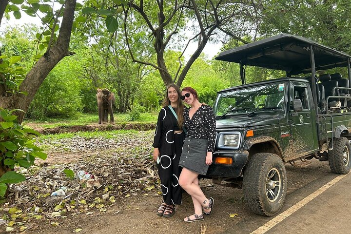 Udawalawe National Park — 4-Hour Private Jeep Safari (Pickup)