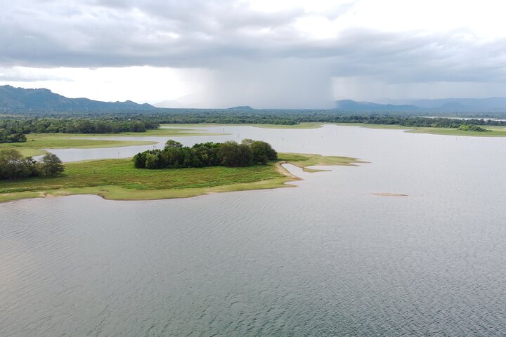 Udawalawe National Park — 4-Hour Private Jeep Safari (Pickup)