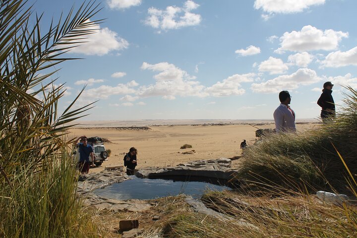 Private Tour: Two Days, One Night in the Black and White Desert