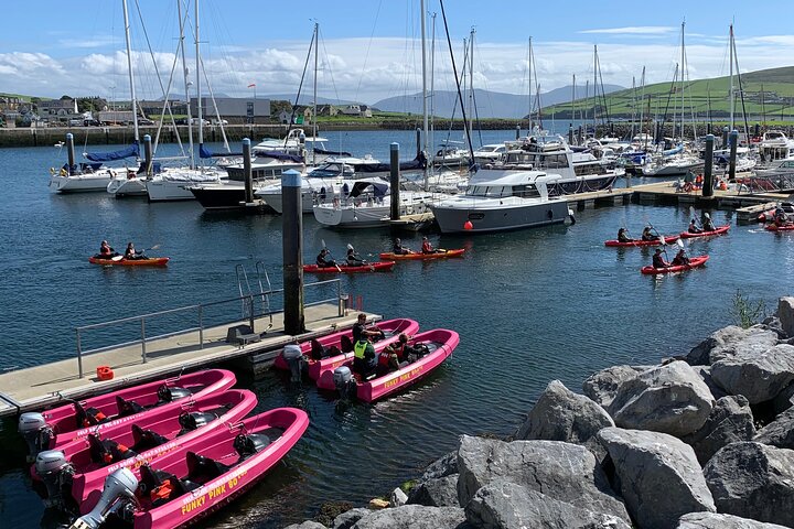 Private tour of Dingle and Slea Head with accredited guide