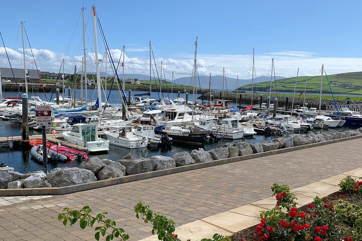 Private tour of Dingle and Slea Head with accredited guide