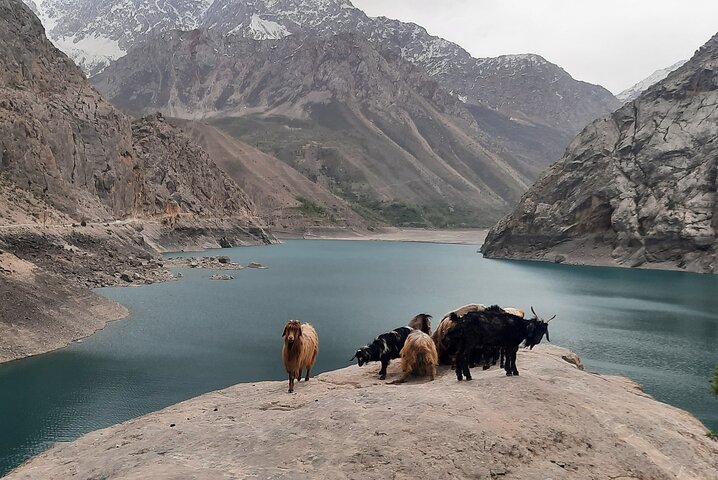 Seven Lakes Day Tour from Samarkand (Private & Group Options)