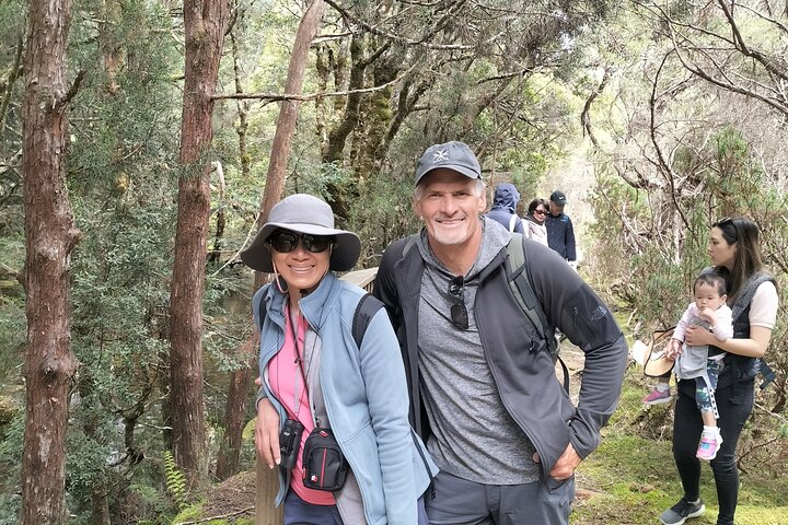 Burnie Cruise Shore Excursion to Cradle Mt National Park
