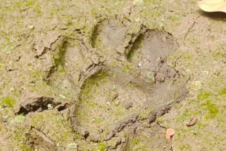 Chitwan National Park Safe CampFire Night Stay From Madi Side