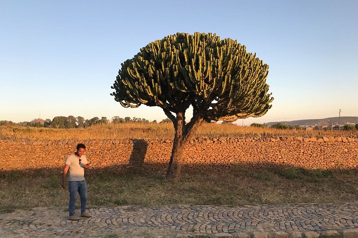 Axum City Tour