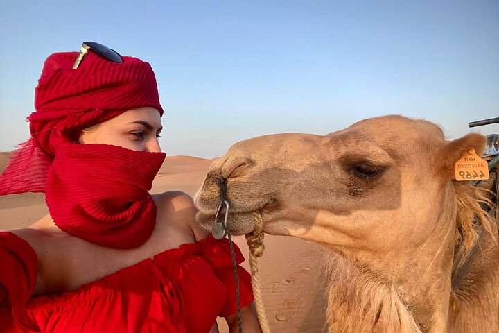 Merzouga Luxury AC/ Heating Camp: Camel Ride, Dinner & breakfast