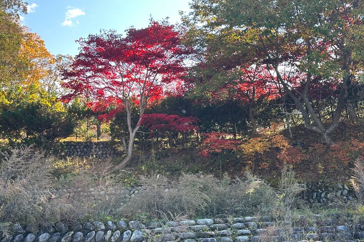 1 Day Private Charter Tour to Shirakawa-go & Takayama