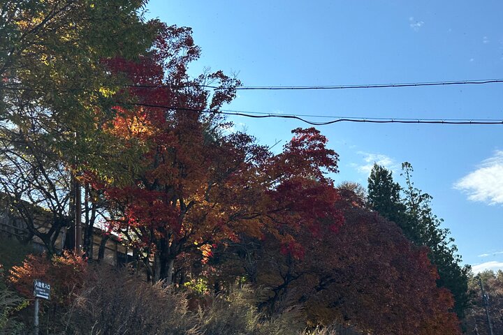 1 Day Private Charter Tour to Shirakawa-go & Takayama