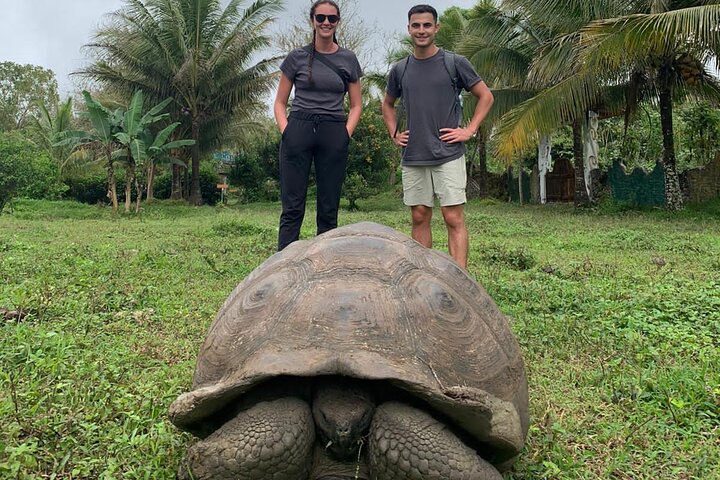 Giant Tortoises Tour, Lava Tunnels & Stop at Los Gemelos Craters”