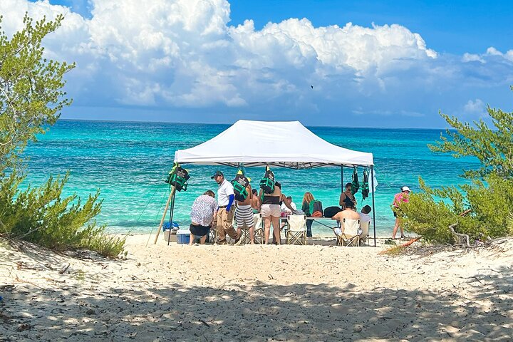 ALL INCLUSIVE Safari Tour Bahía de las Águilas from Barahona