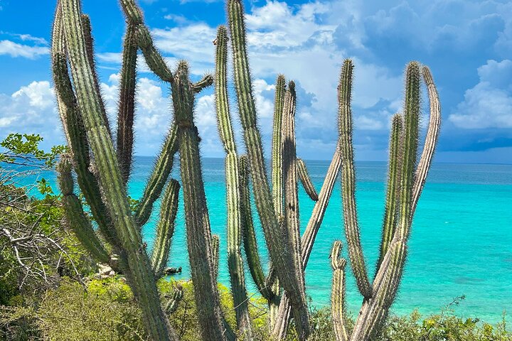 ALL INCLUSIVE Safari Tour Bahía de las Águilas from Barahona