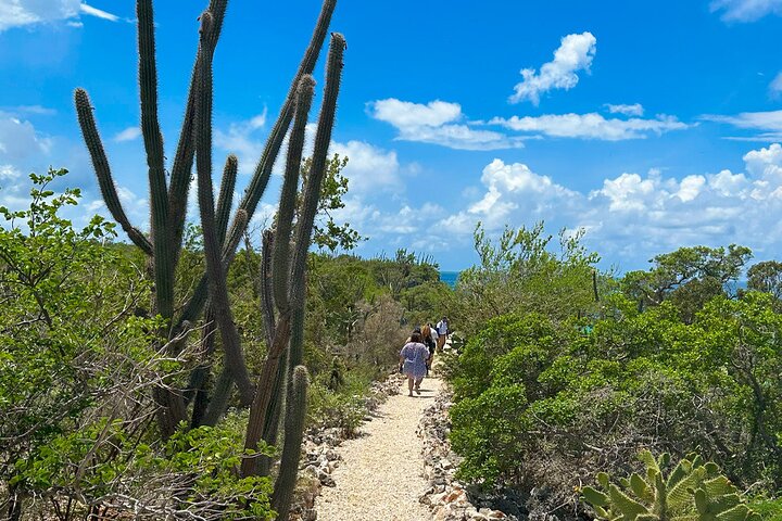 ALL INCLUSIVE Safari Tour Bahía de las Águilas from Barahona