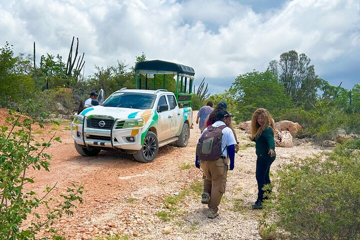 Private Tour with Crocodile Sighting in Lake Enrriquillo