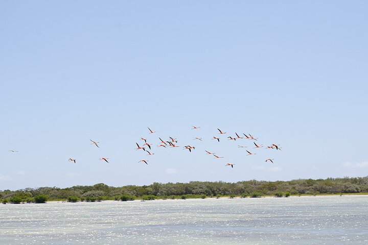 Private Full Day Tour to Laguna de Oviedo