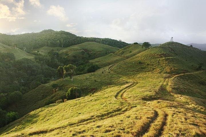 Mauritius: 2 Hours Buggy Ride - Bel Ombre Nature Reserve