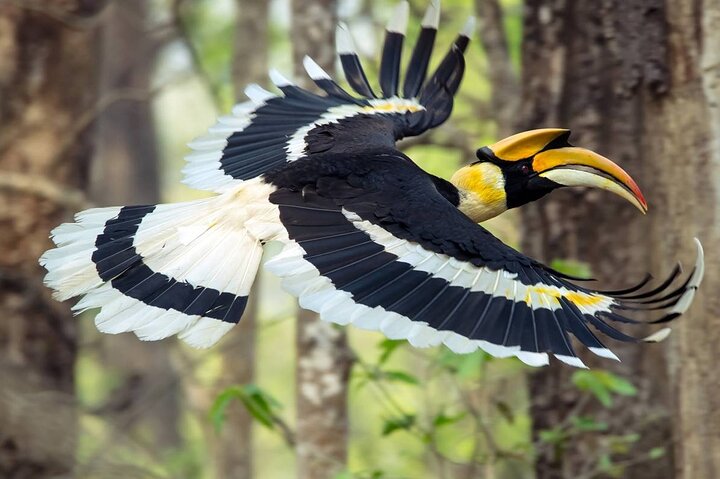 Chitwan National Park Bird Watching Untouched Side from Madi