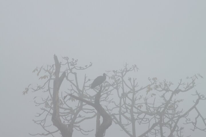Chitwan National Park Bird Watching Untouched Side from Madi