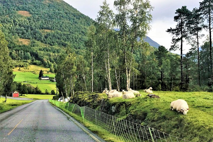 Nordfjordeid Best Private Tour: Glacier Adventure & Loen Skylift