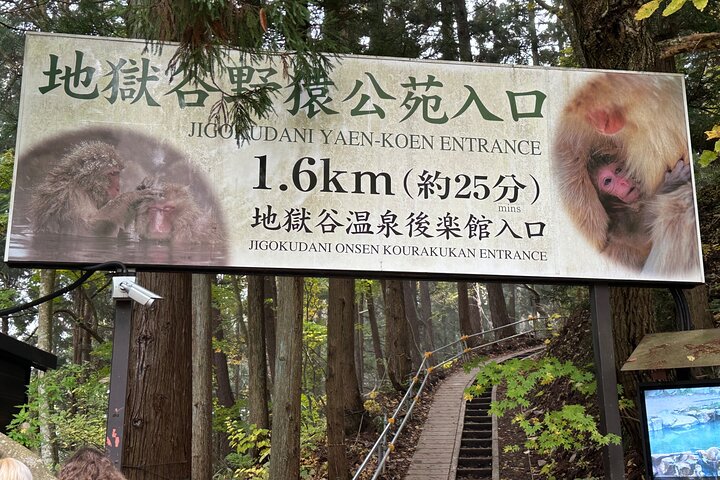 1-Day Private Snow Monkey ZenkoJi Temple & SakeTasting NaganoTour