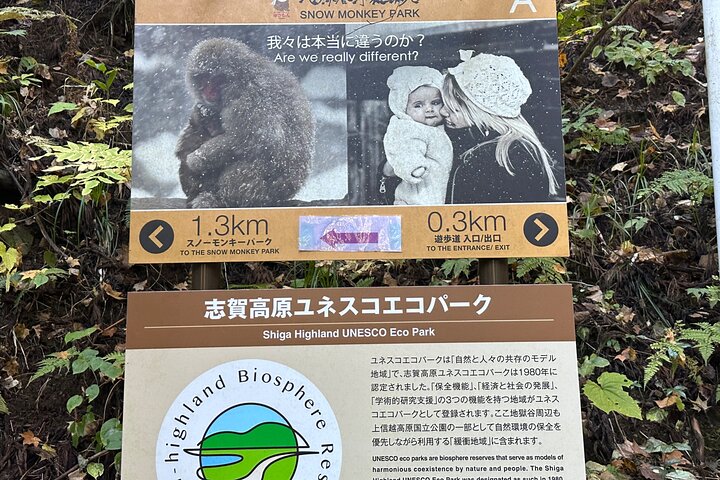 1-Day Private Snow Monkey ZenkoJi Temple & SakeTasting NaganoTour