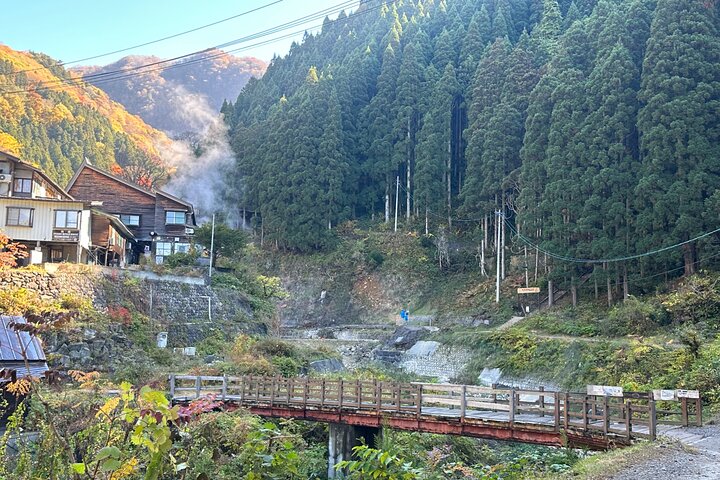 1-Day Private Snow Monkey ZenkoJi Temple & SakeTasting NaganoTour