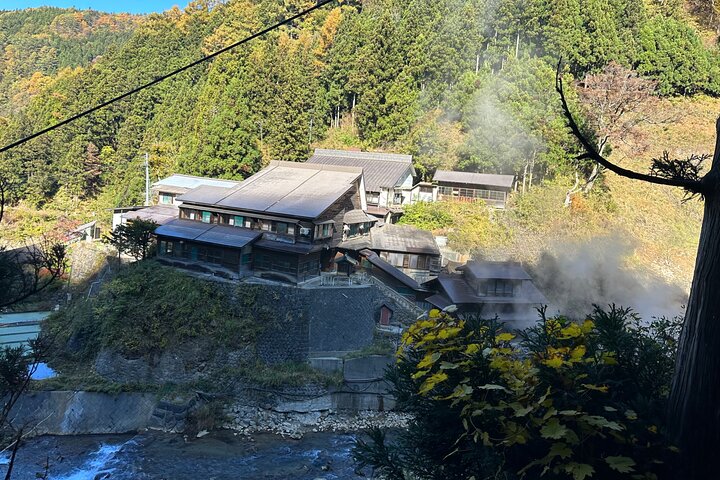 1-Day Private Snow Monkey ZenkoJi Temple & SakeTasting NaganoTour