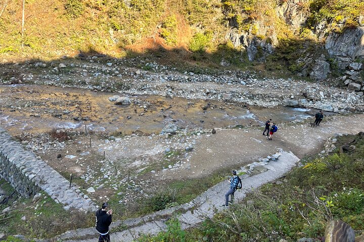 1-Day Private Snow Monkey ZenkoJi Temple & SakeTasting NaganoTour
