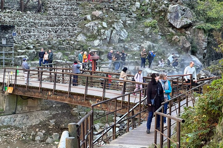 1-Day Private Snow Monkey ZenkoJi Temple & SakeTasting NaganoTour