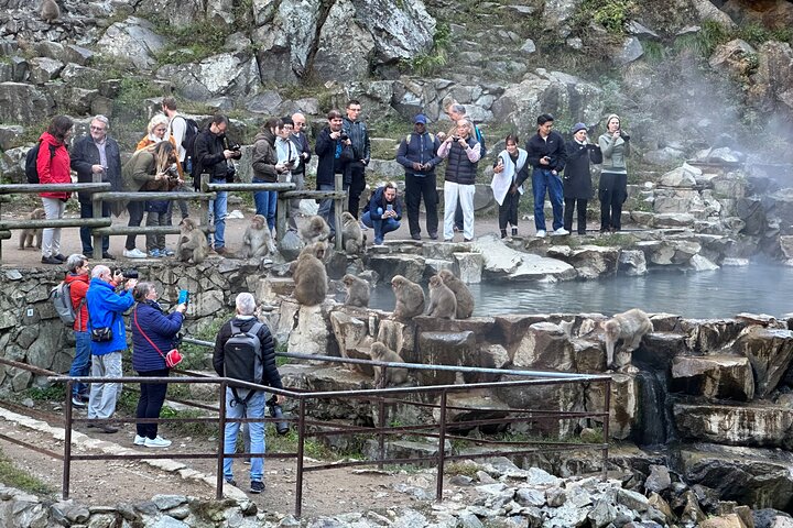 1-Day Private Snow Monkey ZenkoJi Temple & SakeTasting NaganoTour
