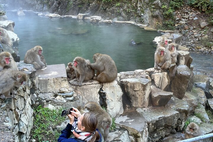 1-Day Private Snow Monkey ZenkoJi Temple & SakeTasting NaganoTour