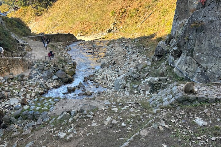1-Day Private Snow Monkey ZenkoJi Temple & SakeTasting NaganoTour