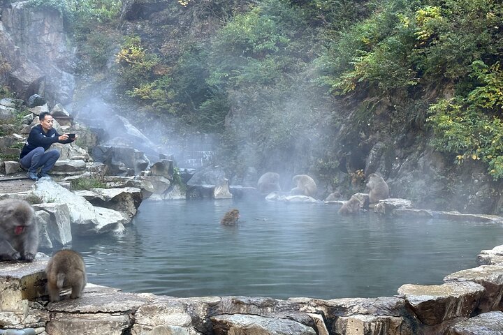 1-Day Private Snow Monkey ZenkoJi Temple & SakeTasting NaganoTour