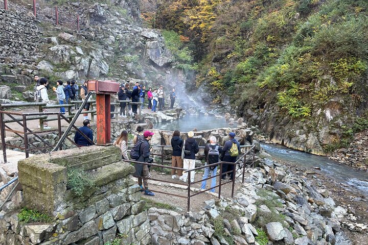 1-Day Private Snow Monkey ZenkoJi Temple & SakeTasting NaganoTour