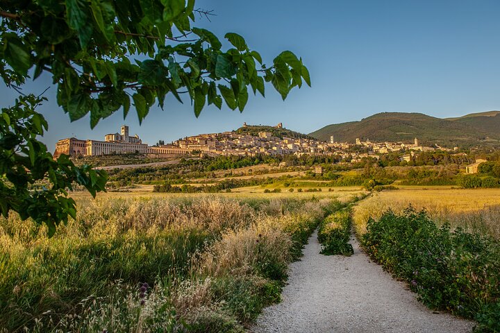 Assisi: 3-hours tour including St. Francis Basilica tickets