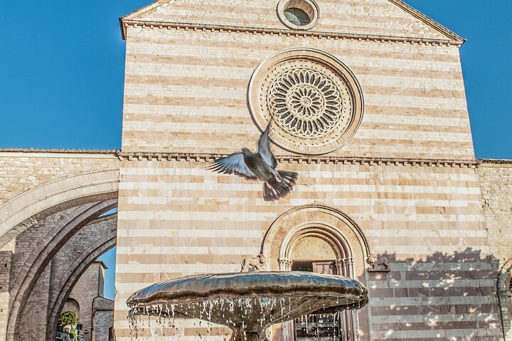 Assisi: 3-hours tour including St. Francis Basilica tickets