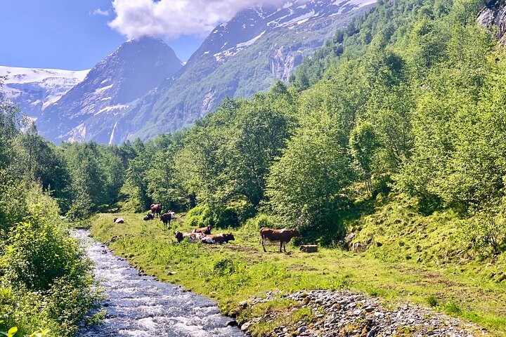 Nordfjordeid Best Private Tour: Glacier Adventure & Loen Skylift