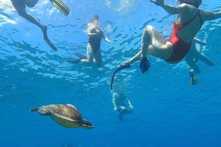 Aguadilla Tropical Snorkeling